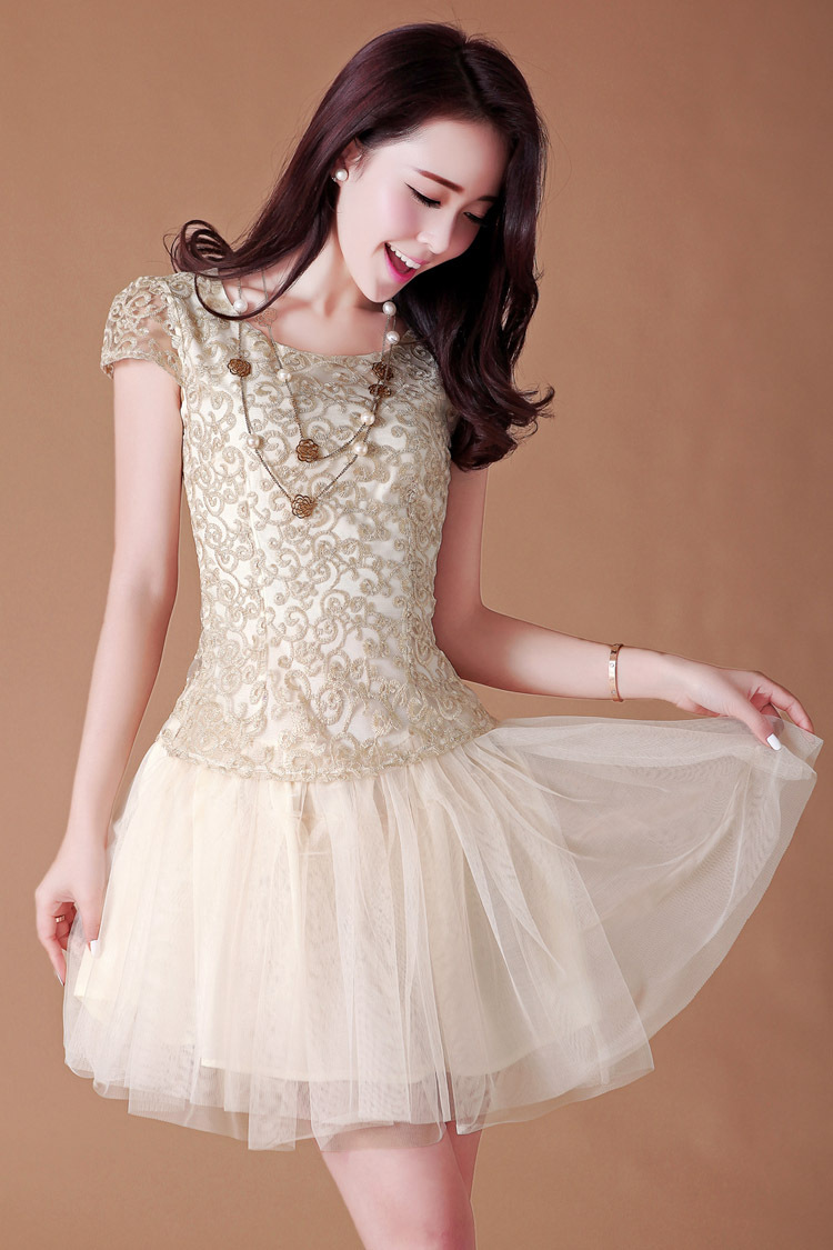 2014夏装新款淑女短袖网纱蓬蓬裙百褶蕾丝连衣裙免费代发女y2387