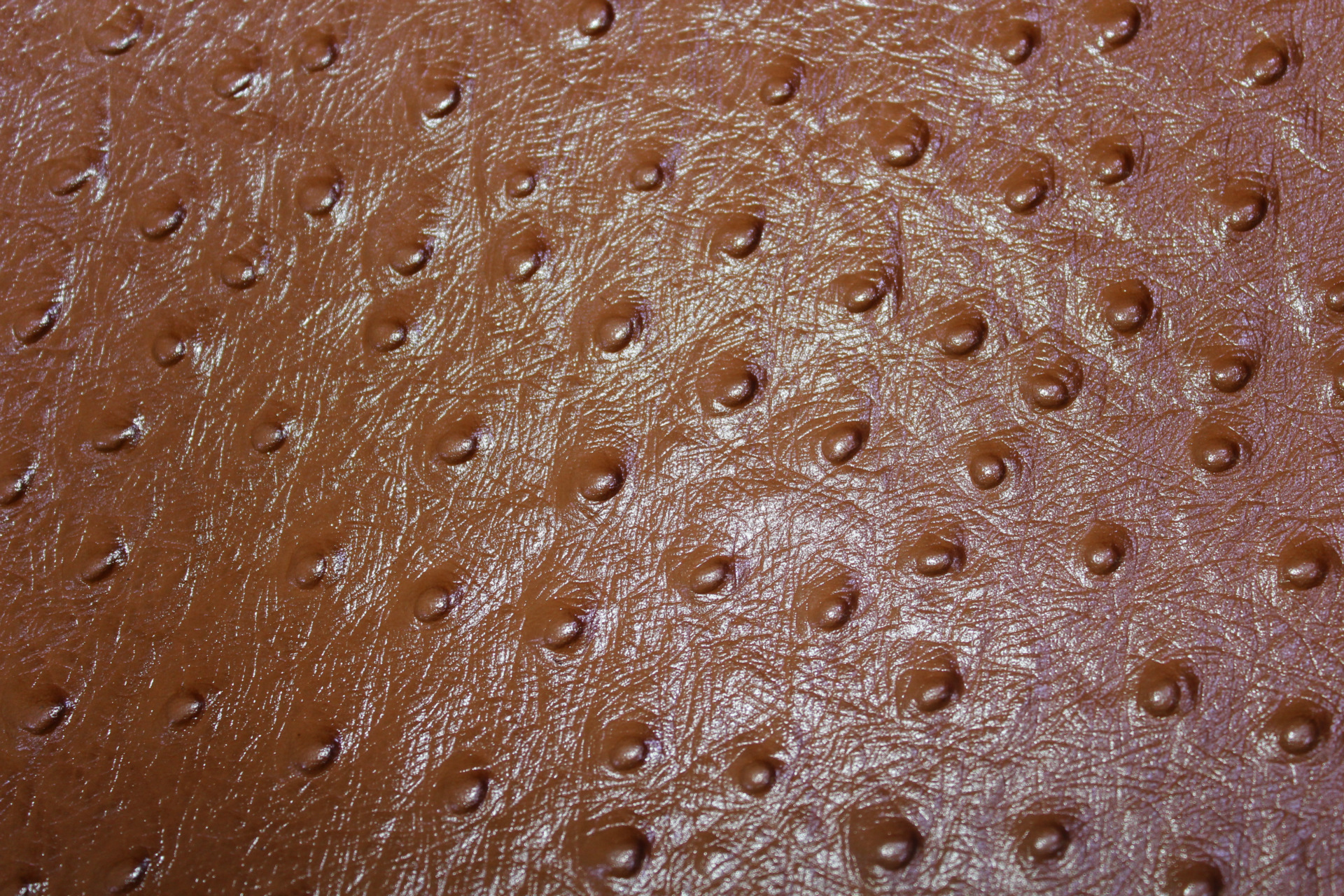 【新品上市】可订货高品质牛皮革 压花鸵鸟纹头层 优质皮革批发