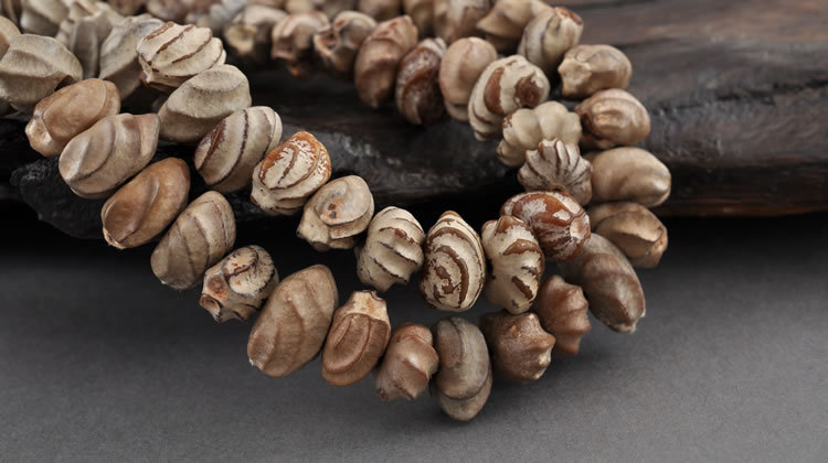 龙骨菩提老色复古天然藏式佛手菩提子108佛珠念珠持珠提珠籽原籽