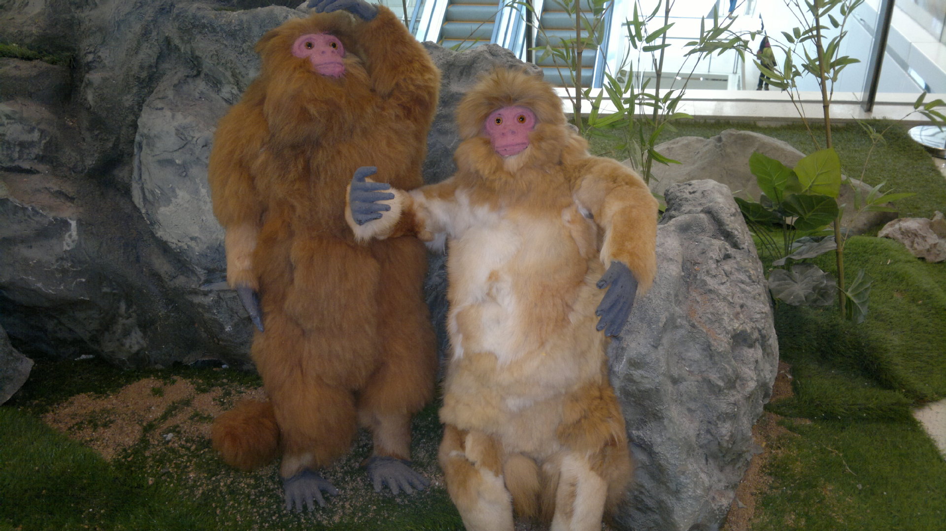 【随手拍】 假动物,真动作 济南沪工阀门