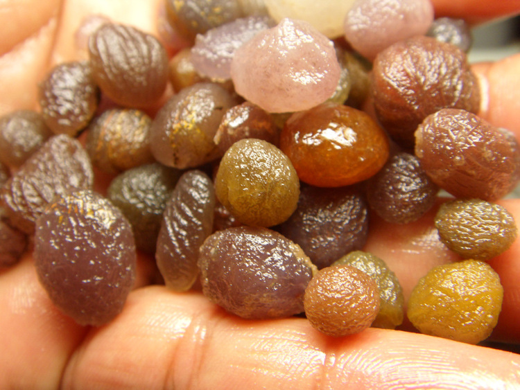 新疆葡萄干玛瑙 紫罗兰 多彩玛瑙 一级精品 2公斤3万