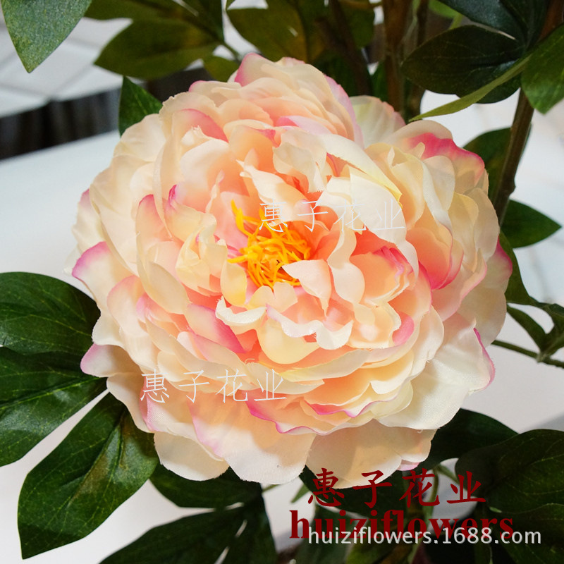 热销精品 单枝5头牡丹王芍药花仿真花假花批发家居软装装饰