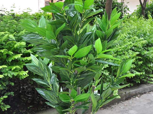 荔枝树 仿真花 绢花 人造花 假花 仿真花批发 仿真树 树图片_4