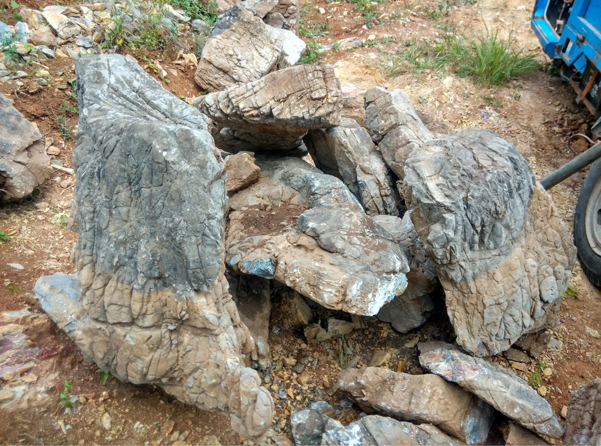 龜紋石批發,並承包假山製作,產地直銷價格最低