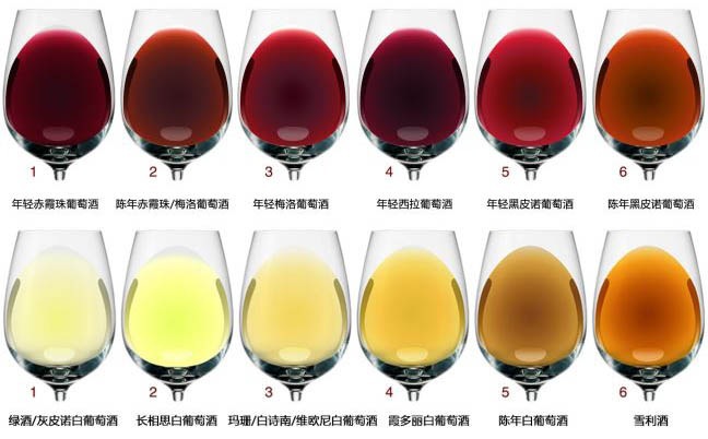 带你辨别葡萄酒好坏!