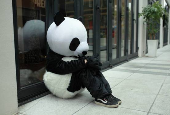 misspanda的人生才刚开始广告狗到了尽头