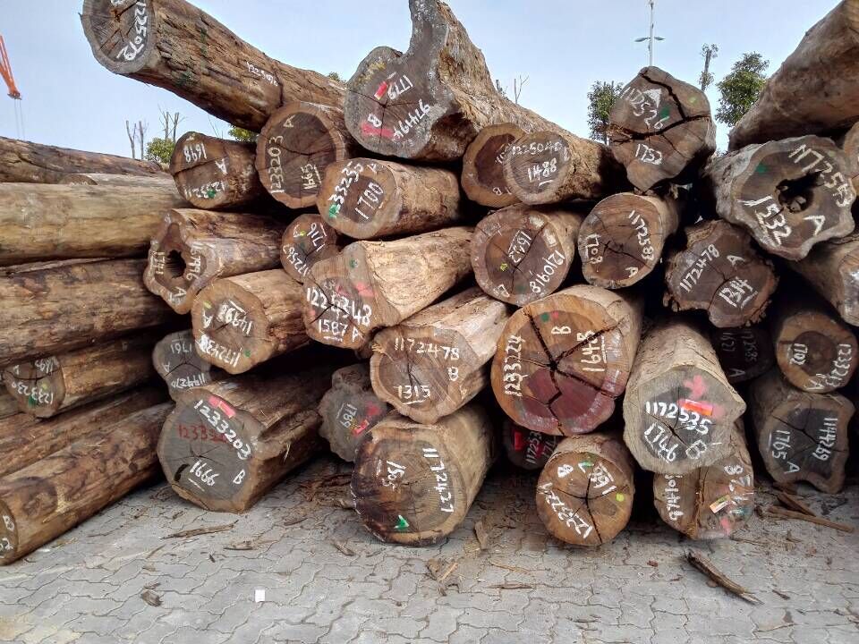 【铁木豆】供应南美优质进口酸枝原木黑铁木豆 进口木材批发