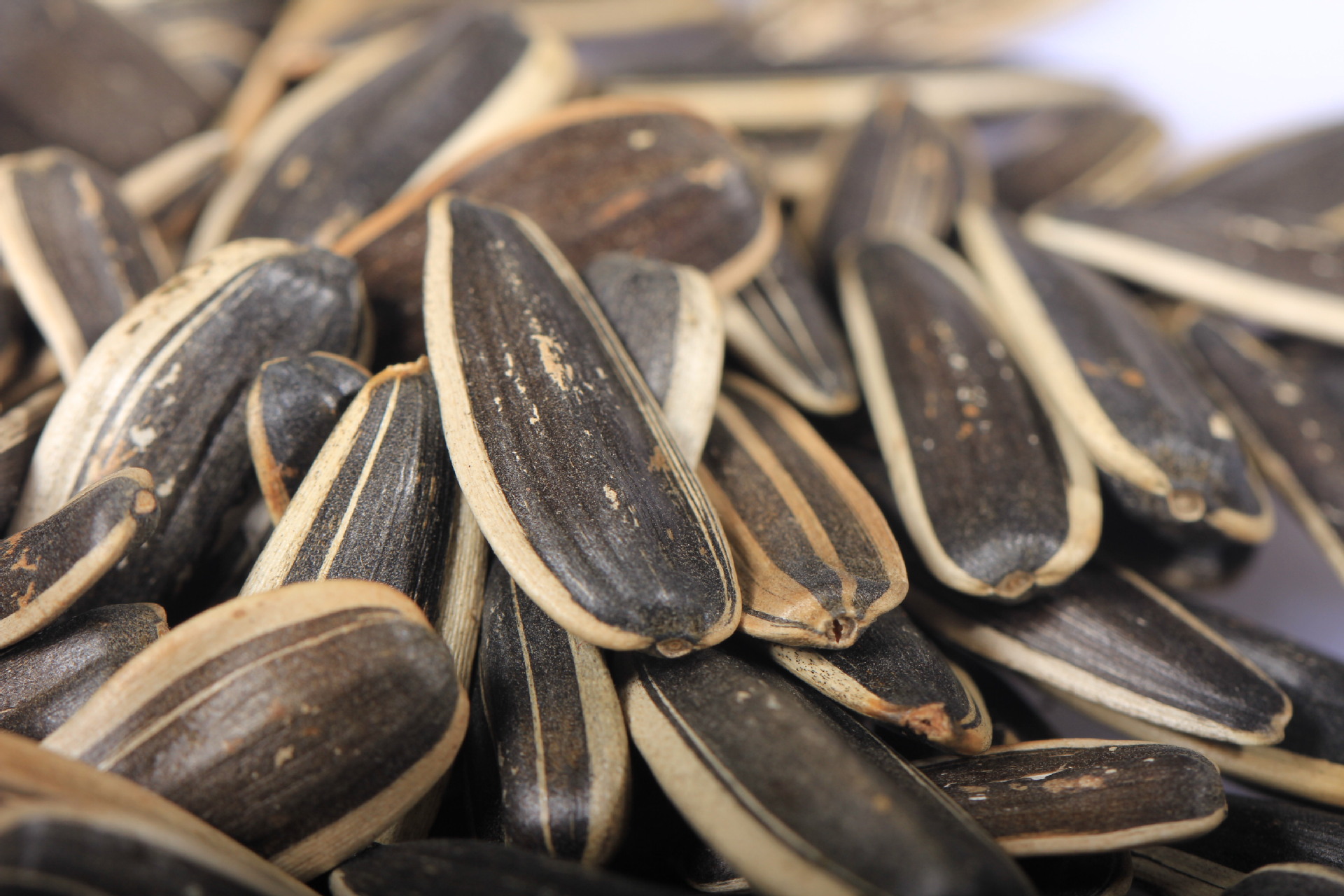 天目茂林 熟瓜子散装原味大瓜子批发葵花籽炒货散称休闲零食