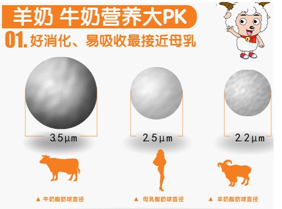 磷,铁,锌等矿物质的含量上超过牛奶与山羊奶两倍之多,绵羊奶中钙与磷