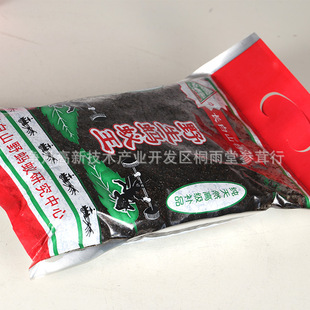 野生蚂蚁王 滋补 批发 长白山野生黑蚂蚁 药材