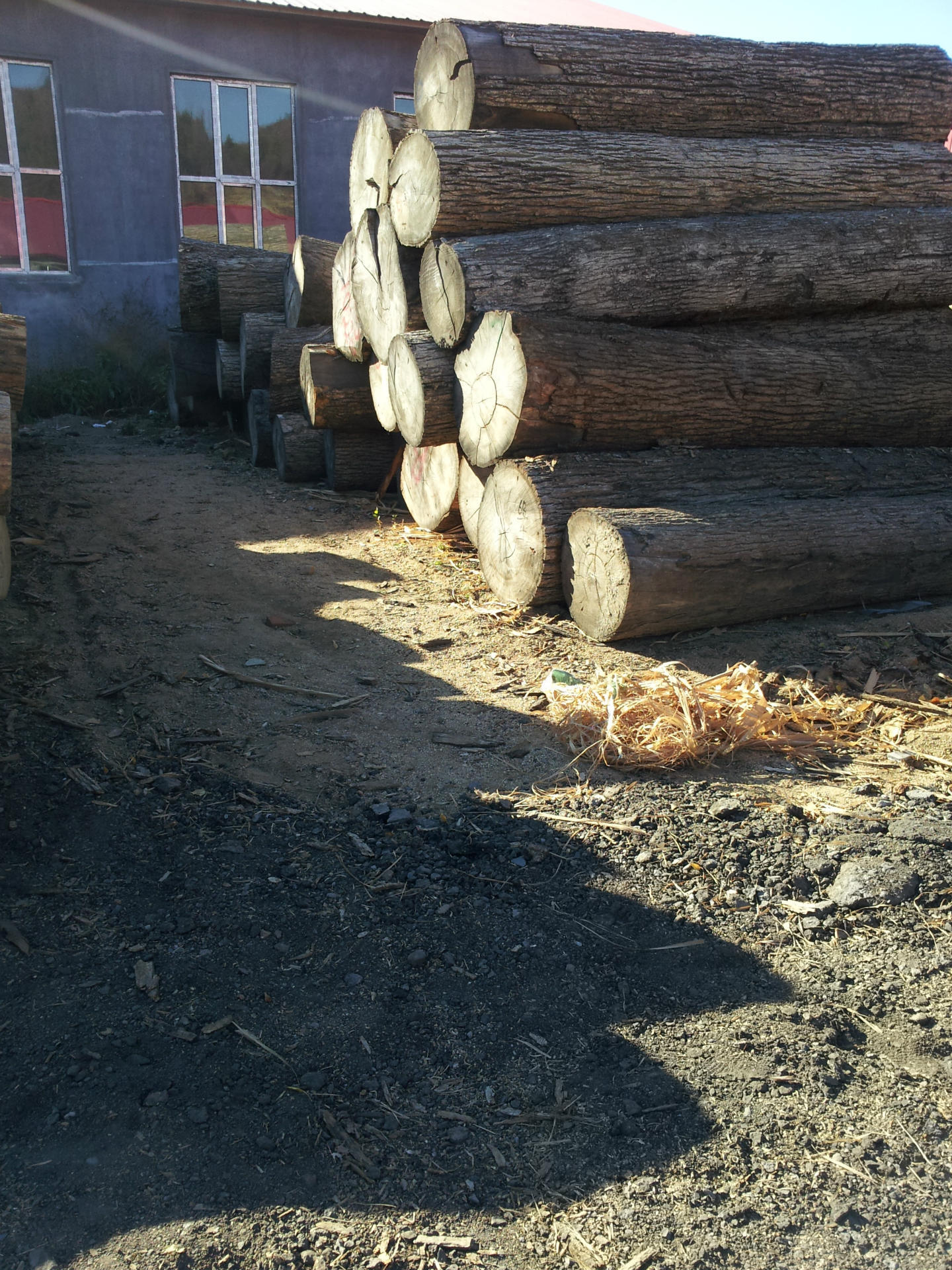 东北椴木木皮厂家直销水曲柳木皮