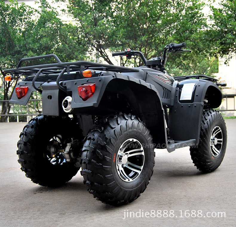 重庆狮跑沙滩车250-12性价比最高沙滩车全线升级