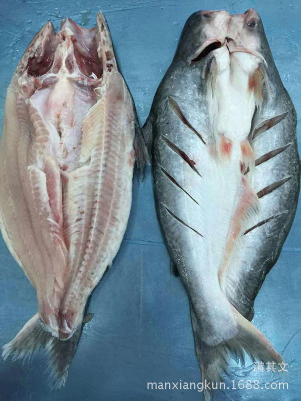 芒鱼和湄公鱼图片