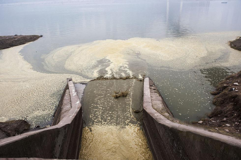 化粪池污水直接从一个宽5米的排污口排放进入长江