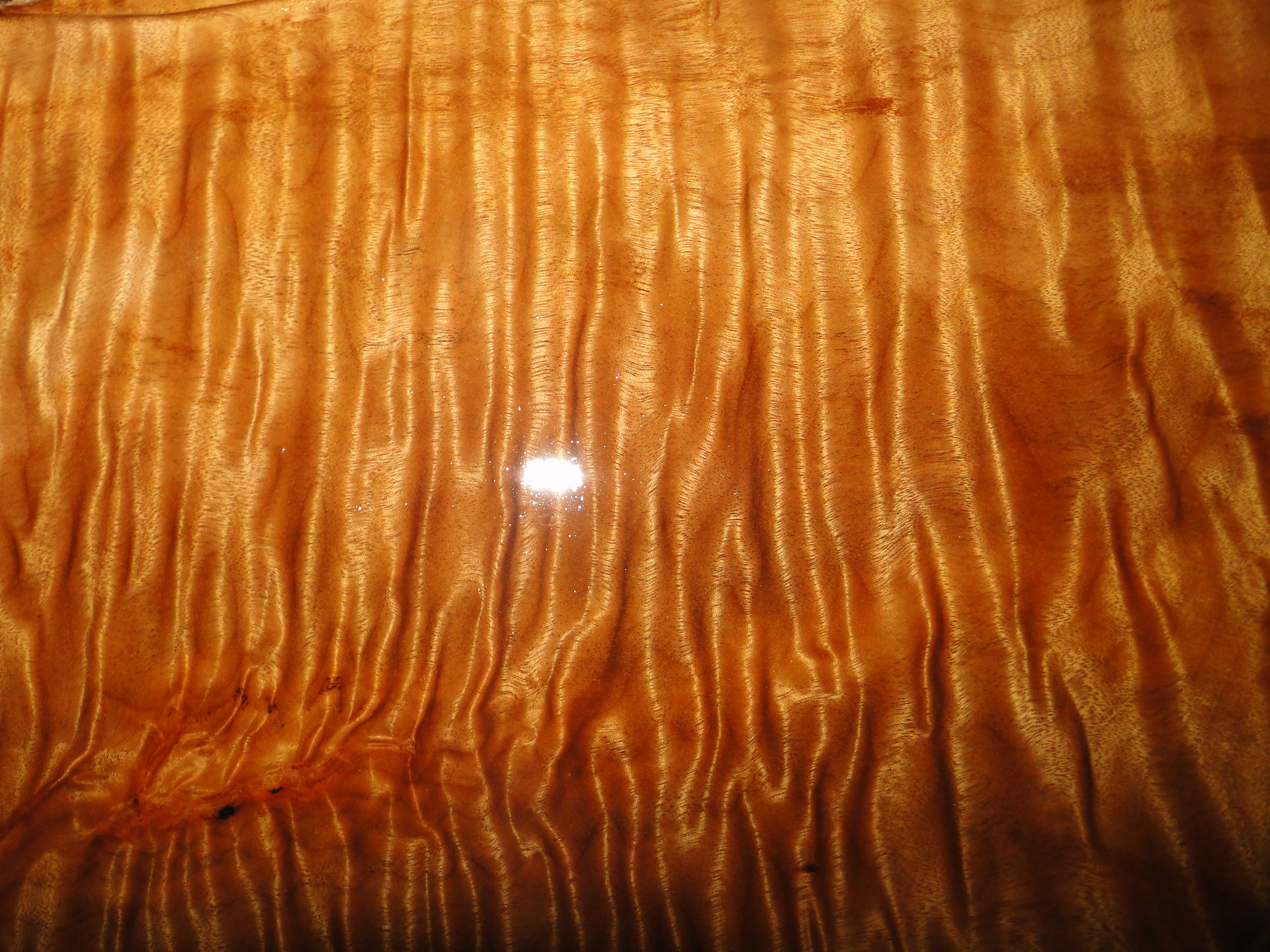 [华夏神韵]金丝楠木根雕,小叶桢楠根雕,金丝楠水波纹