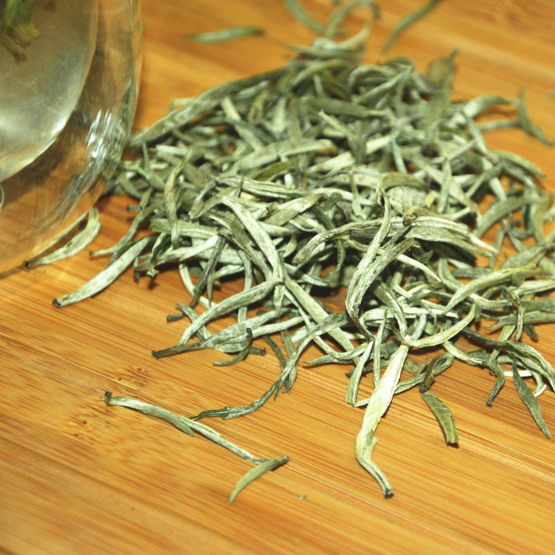 广西特产凌云白毫银针 绿茶 厂家直销高山绿茶 一件代发 代理招商