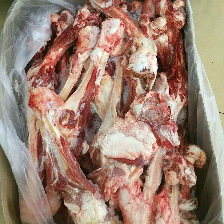 羊肉羊腿骨冷凍批發供應 217老羊腿骨 澳洲進口冷凍新鮮老羊腿骨