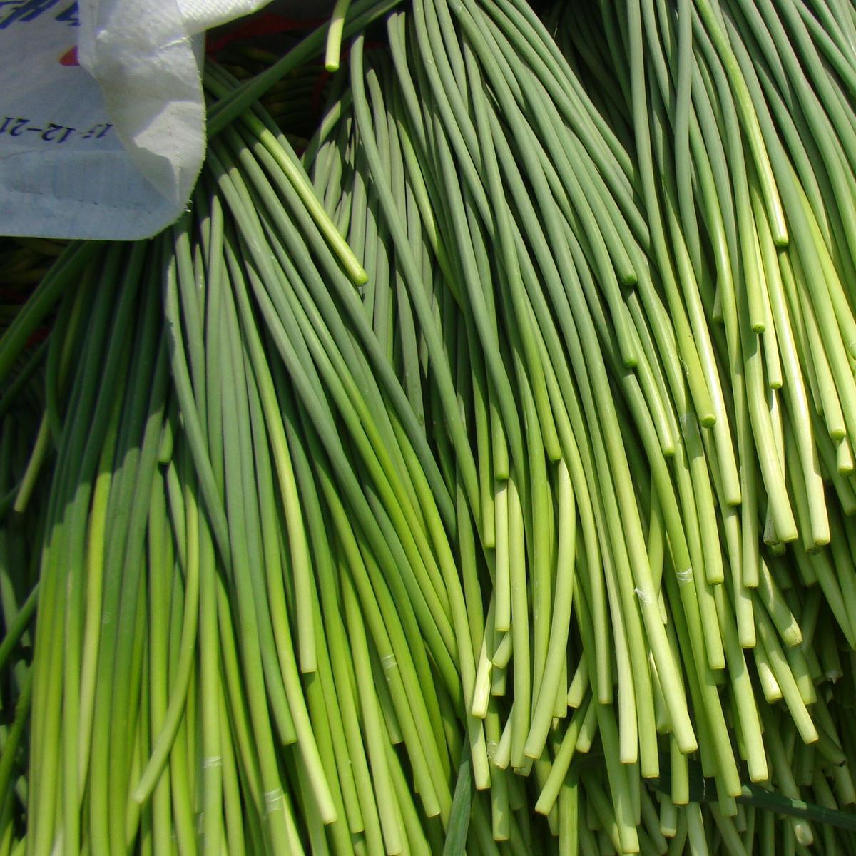 新鲜绿色有机无公害健康蔬菜蒜薹 厂家大量直供批发销售量大从优