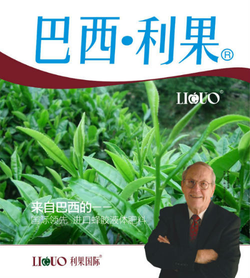 巴西利果进口茶树叶叶面肥一吸附式超渗透液肥.