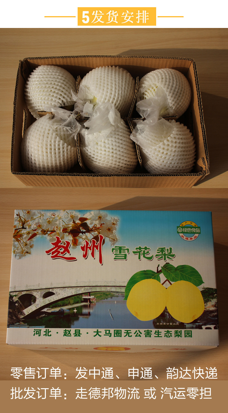 塬景 河北赵县雪花梨 赵州雪梨 清心润肺 新鲜水果产地直供 5斤装