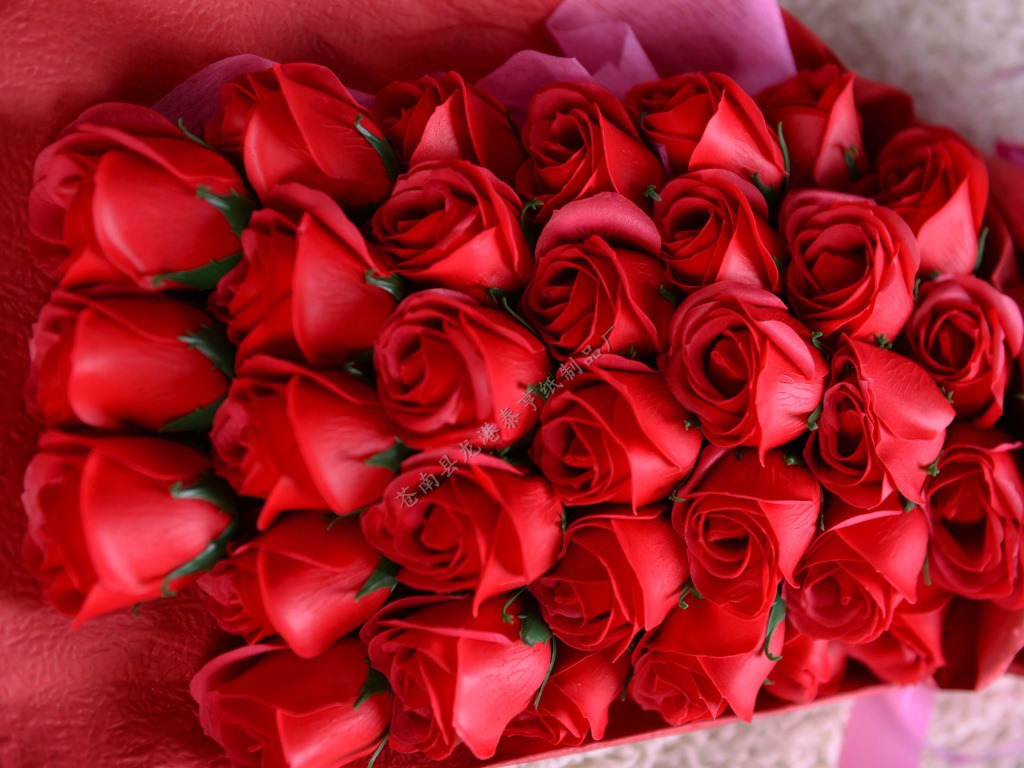 香皂花玫瑰花情人节七夕生日创意礼物创意