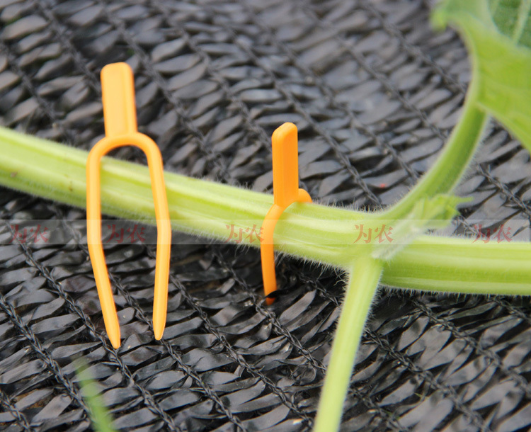 批发草莓种植叉,压蔓器图片_9