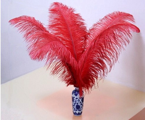 鸵鸟羽毛 插花羽毛 婚庆羽毛 彩色鸵鸟毛 diy羽毛 40-45cm