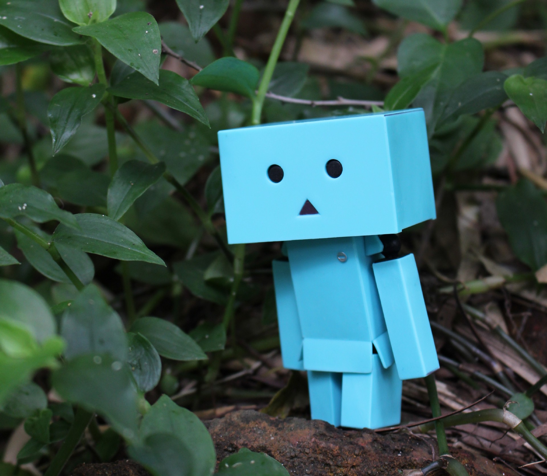 手办批发 四叶妹妹 彩色纸箱人阿楞mini小型企业 单款