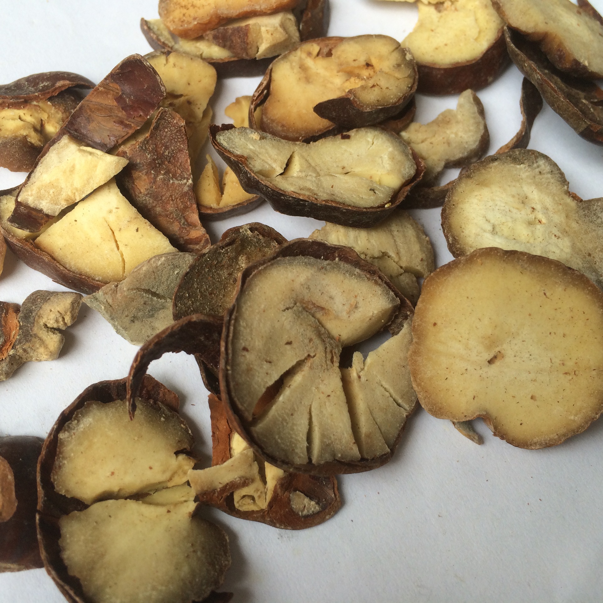 批发娑罗子中药材梭罗子中草药大全 市场价促销特价 满包邮