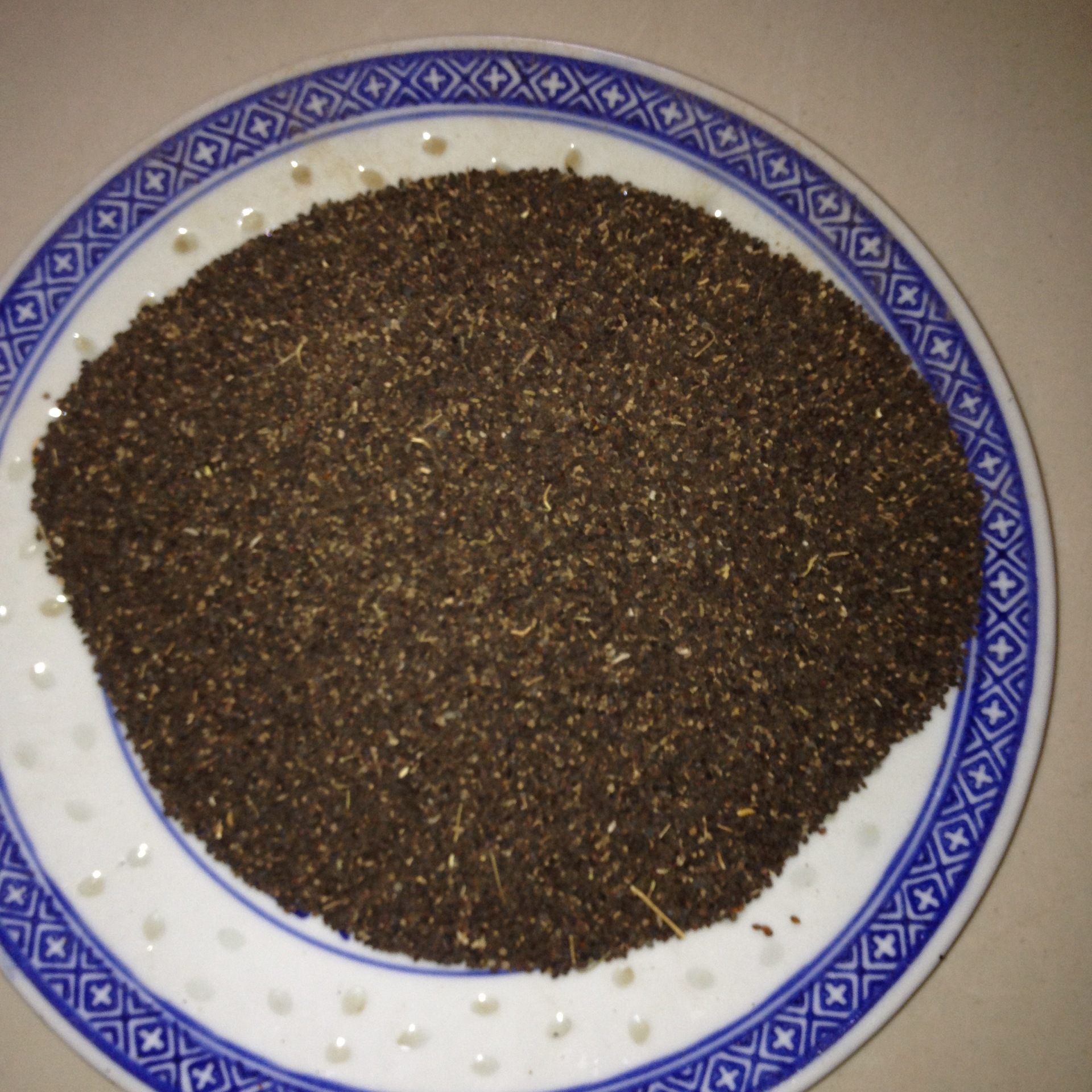 公司批发中草药材种子 南败酱草种子 扑楞鼓子棵 发芽率高质量好