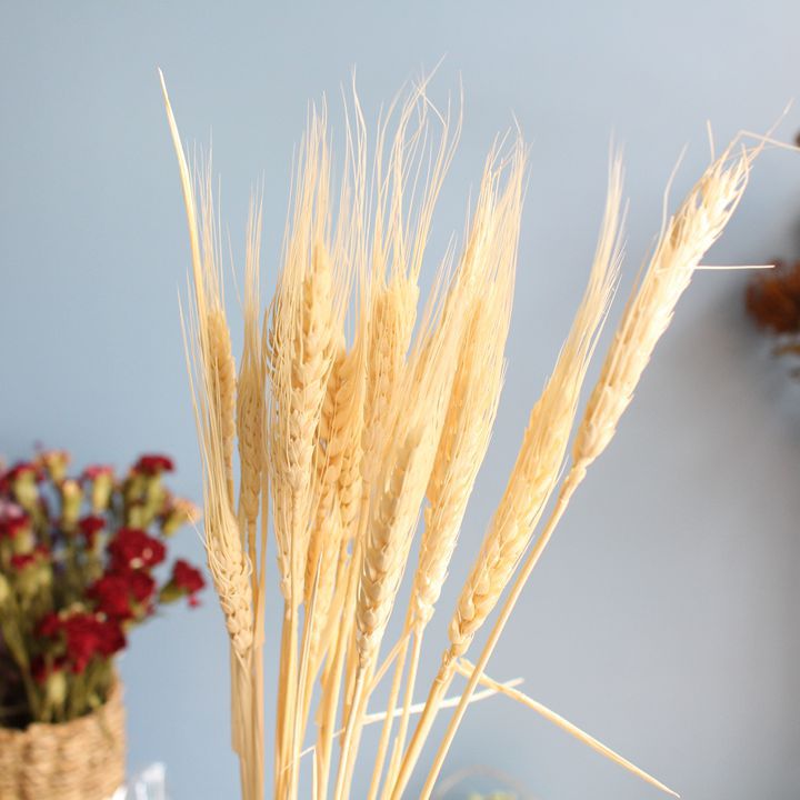 染色一束小麦麦子大麦穗开业庆典礼品干花真花装饰花批发