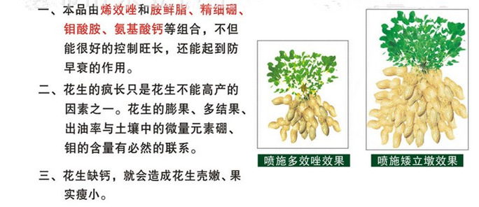 矮立墩植物调节剂多效唑花生红薯生控制旺长根