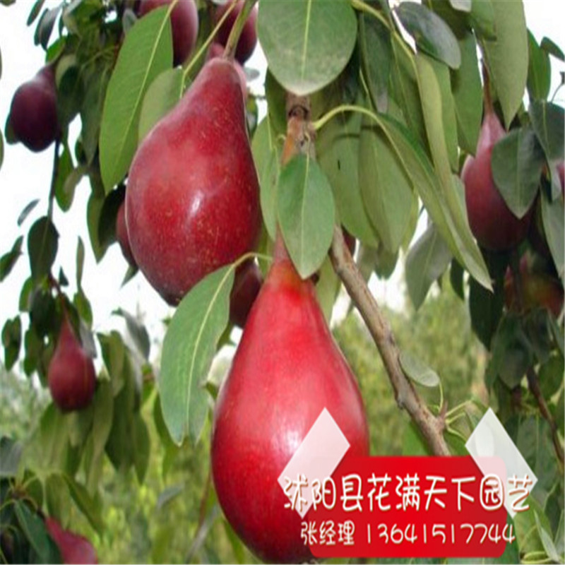  ֱ ʼ޽ Ʒ ͺ