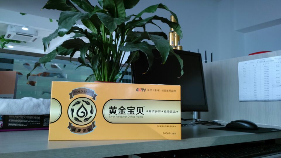 喝黄金宝贝 不怕醉