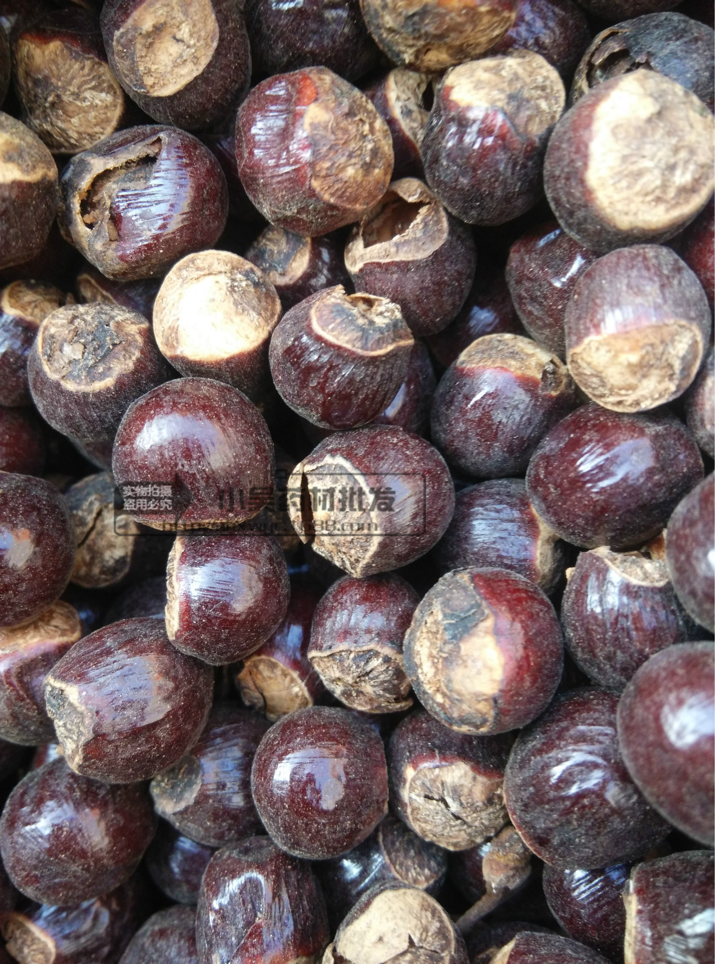 供应中药材 桂圆核 龙眼核 行气散结 止血 燥湿 实图