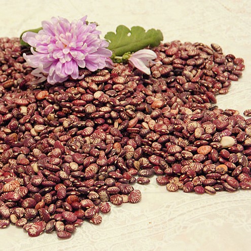 精品 孔雀豆 斑马豆_五谷杂粮_天然植物食品_植物农