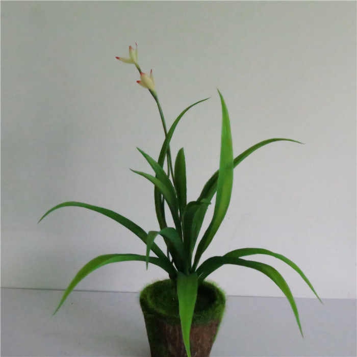 吊兰草 外贸出口仿真花 假花兰花草 仿真花批发 仿真植物图片大全