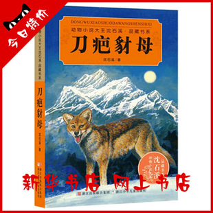 正版童书 刀疤豺母 动物小说大王沈石溪品藏书系 小学生课外读物