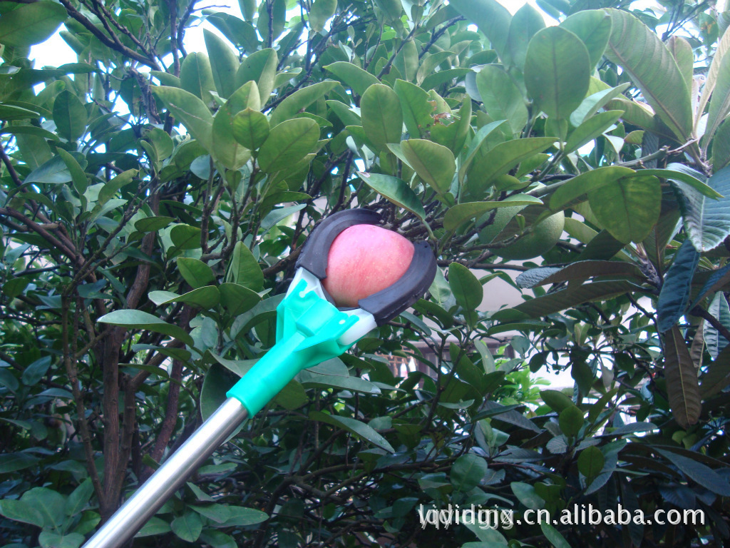 苹果,梨,桃子,油桃,橘子柑橘摘果器,采果器,采集器,采摘器