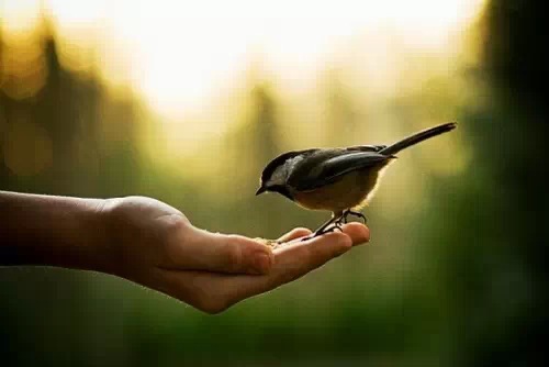 有爱暖心,冬天也不冷; 真情若在,天涯亦咫尺!