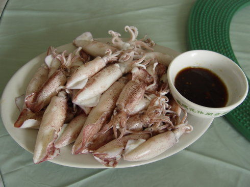 批发冷冻小鱿鱼(笔管鱼),鱿鱼