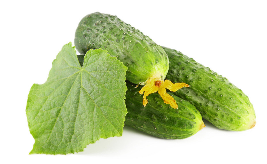 【[荐]黄瓜汁粉 速溶黄瓜粉 黄瓜喷雾干燥粉 Cucumber powder】价格_厂家_图片 -Hc360慧聪网