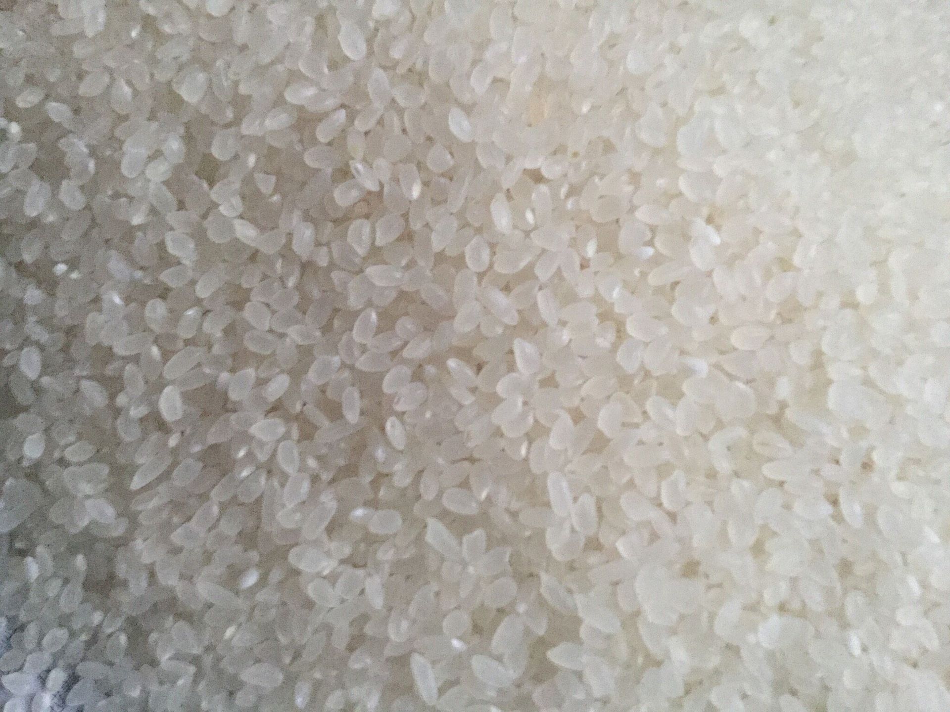 东北大米吉林九台其塔木原产地 超级稻米 小町珍珠米 粳米