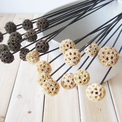 球花路路通天然植物软装材料旅游纪念精品仿真花商场茶楼干花