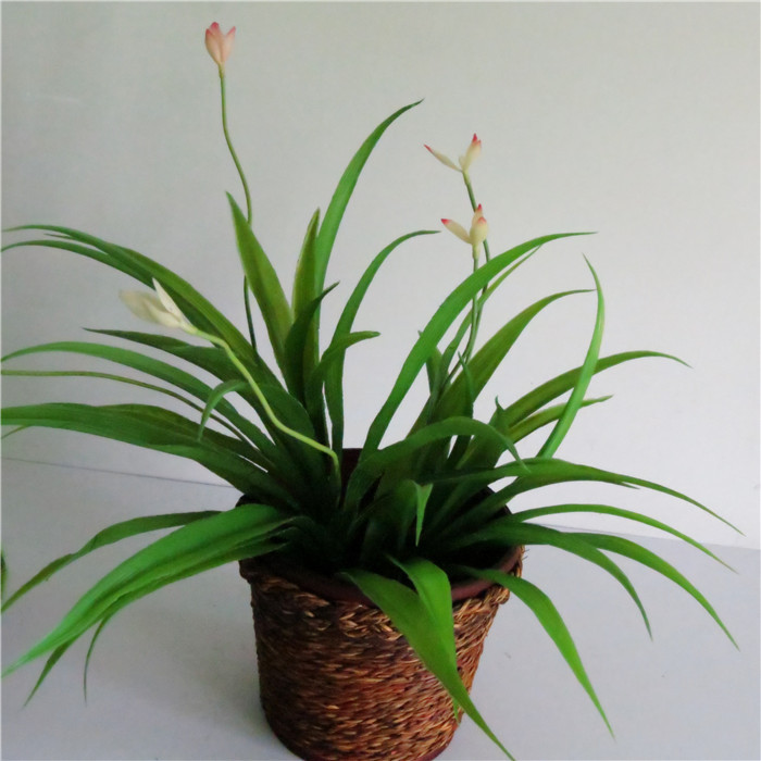 吊兰草 外贸出口仿真花 假花兰花草 仿真花批发 仿真植物图片大全