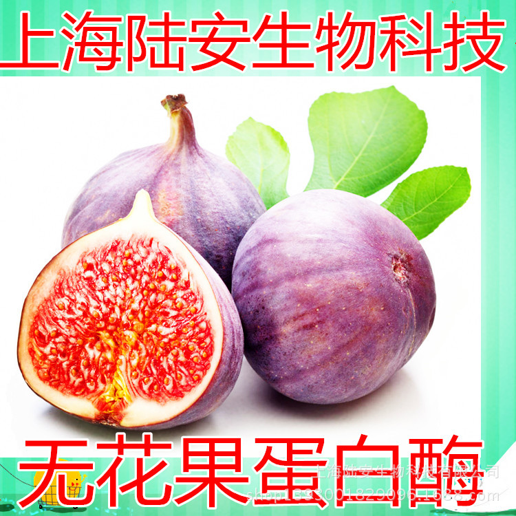 上海陆安供应天然酶制剂无花果蛋白酶