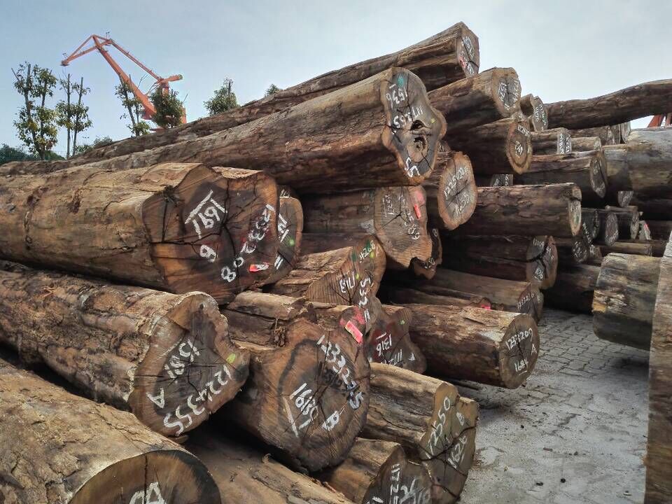 【铁木豆】供应南美优质进口酸枝原木黑铁木豆 进口木材批发