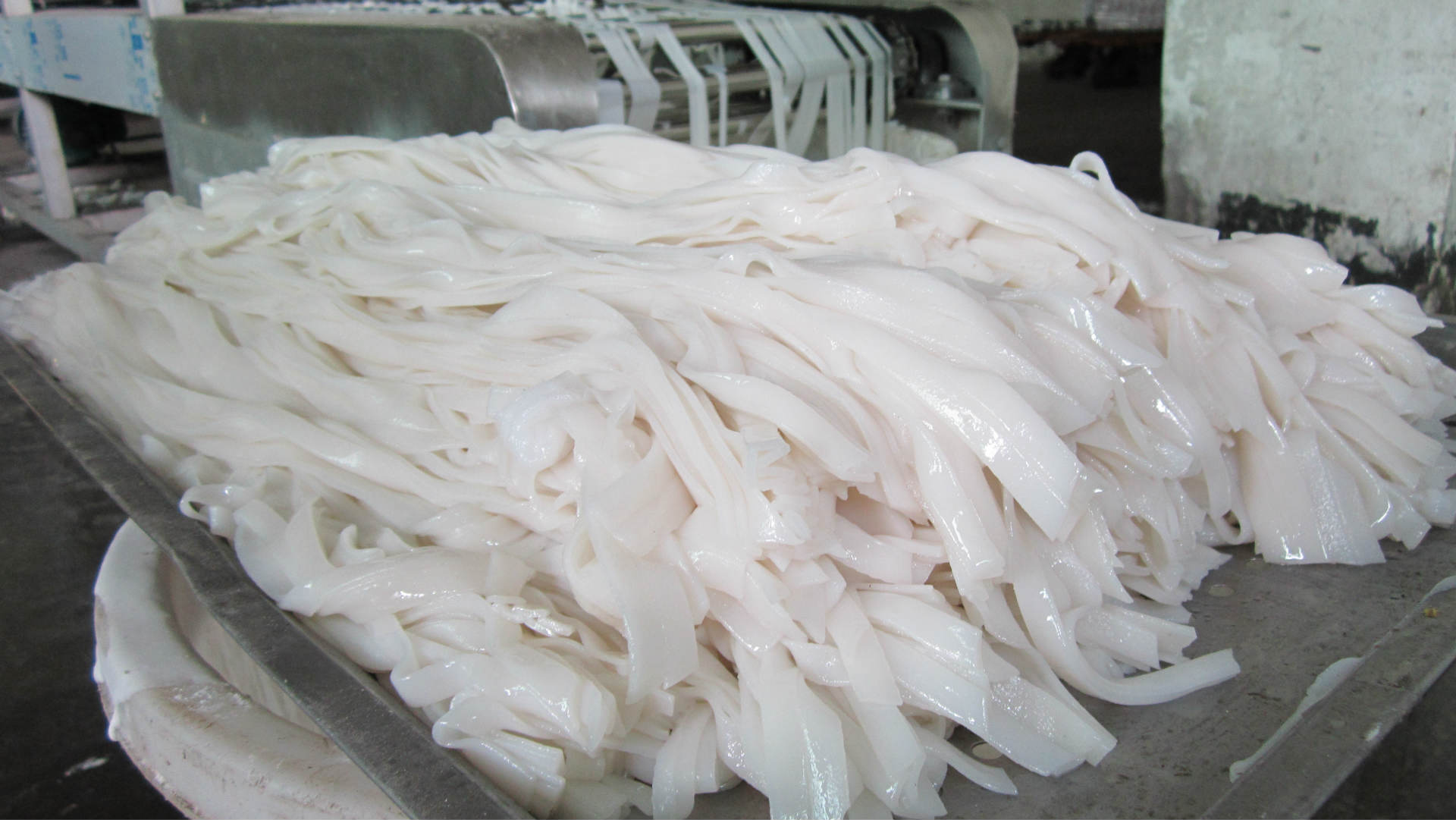 河粉机公司,大小型号河粉机,sz-hf-80扁粉机厂家