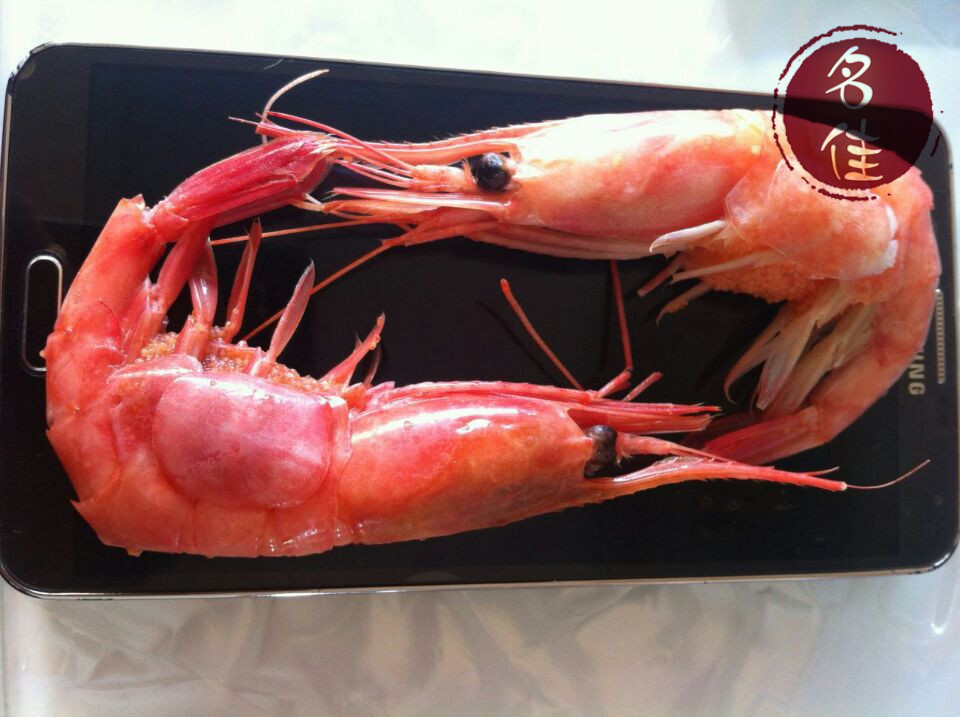 进口大虾水产冷冻海鲜 批发供应 俄罗斯马加丹野生深海北极甜虾