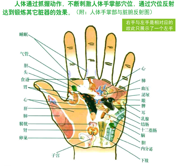 专业握力器 握力圈 橡胶圈 预防鼠标手 康复器材 厂家直销